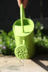 400px-Watering-can-green