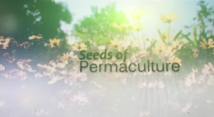 Seeds of permaculture - movie - screenshot
