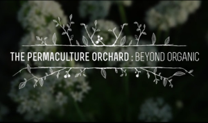 The Permaculture Orchard - movie - screenshot